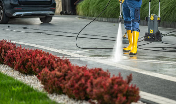 Best Driveway Pressure Washing  in Coushatta, LA